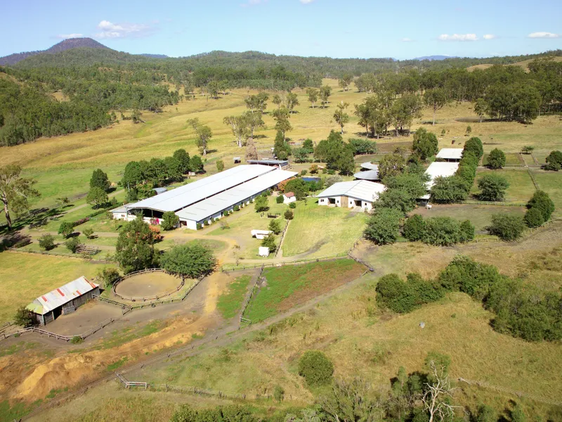 Belcam Warmblood Stud and Equestrian Centre
