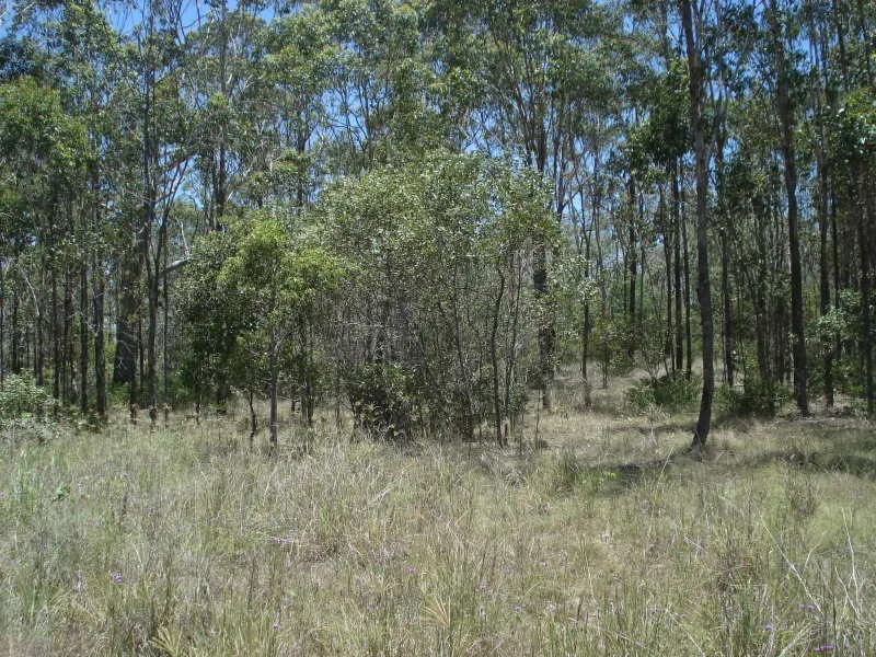 5 ACRES OF LOVELY BUSHLAND