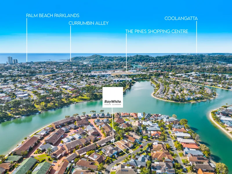 Catch It While You Can!