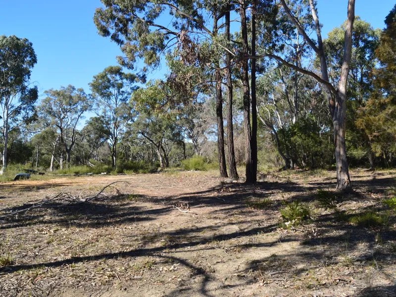 67 Acres (27ha)  Very Rare Opportunity