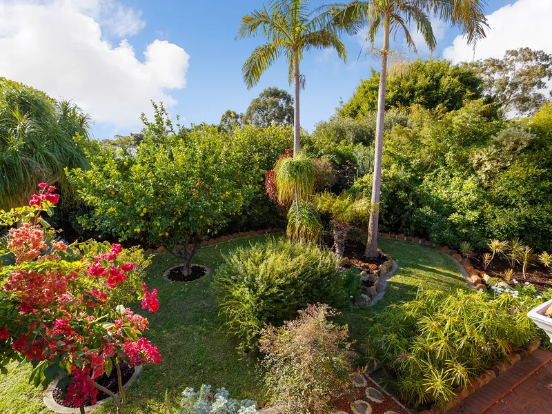 PARK SIDE FAMILY ENTERTAINER - A VERY PRACTICAL HOME WITH A BIG FUTURE