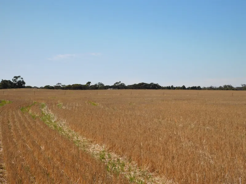 Acreage -  So Close to Town!