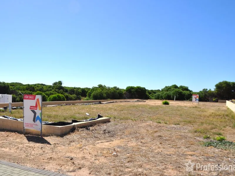 Perfect Location/Perfect Size