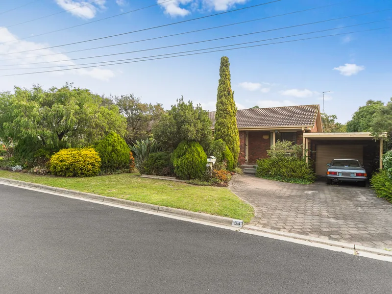 RENOVATE, INVEST or SUBDIVIDE