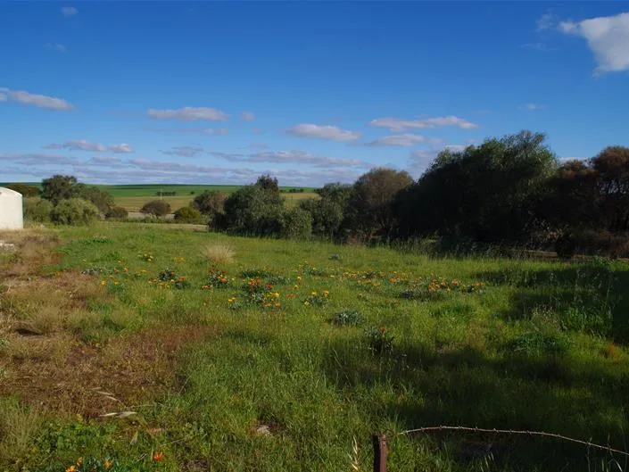 Good Sized Allotment - Rural Outlook