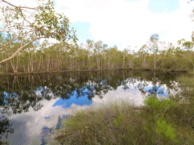 BUSH LIVING ON 158 ACRES