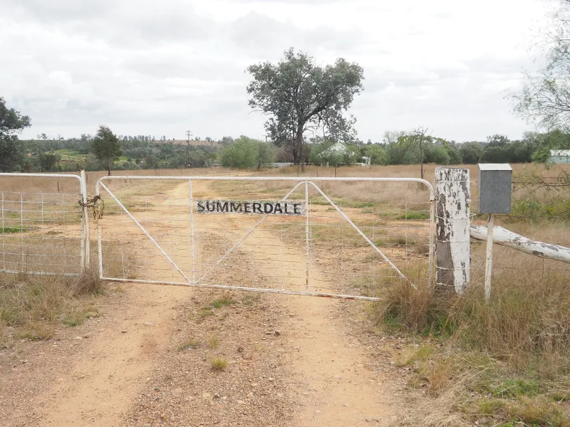 'Summerdale' 652 Gineroi Road, Gineroi NSW 2404