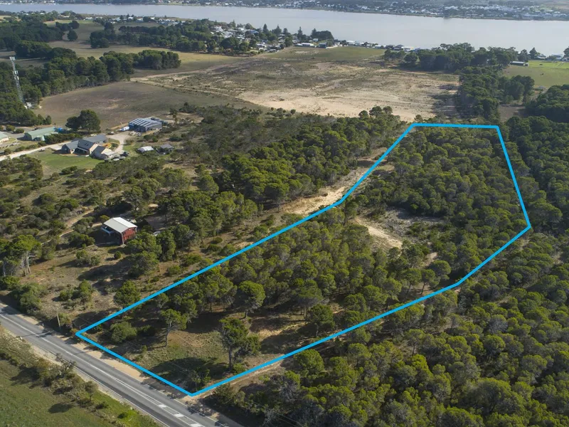 Listen to the birds amongst the bush