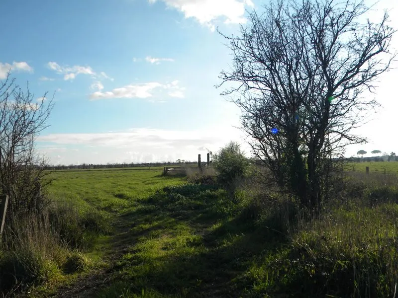 Great Land for Animals with fence off Paddocks !!!