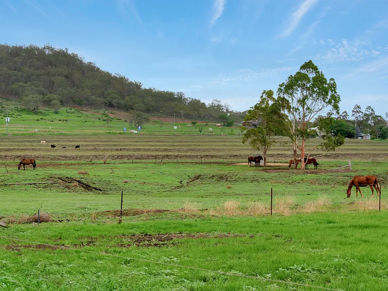 Great Opportunity to Develop or Landbank
