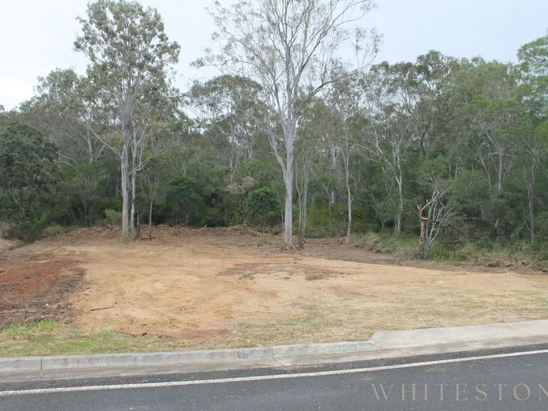 COMMERCIALLY ZONED VACANT BLOCK ON THE HIGHWAY