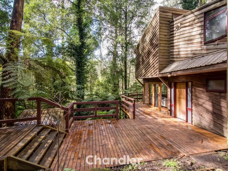 YOUR TRI-LEVEL, TREE HOUSE DREAM!