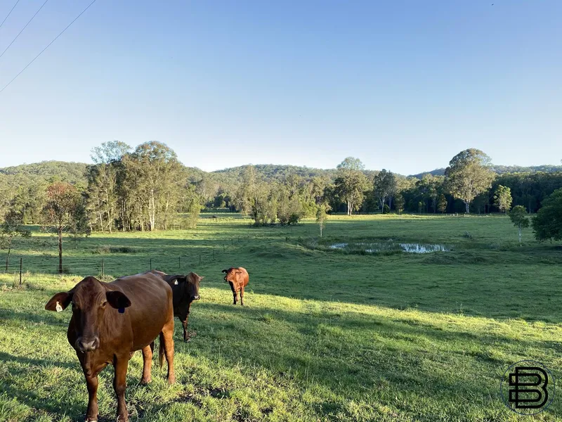 HINTERLAND ACERAGE CLOSE TO NOOSA
