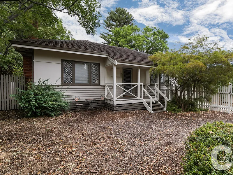 AND THE WHITE PICKET FENCE ♥