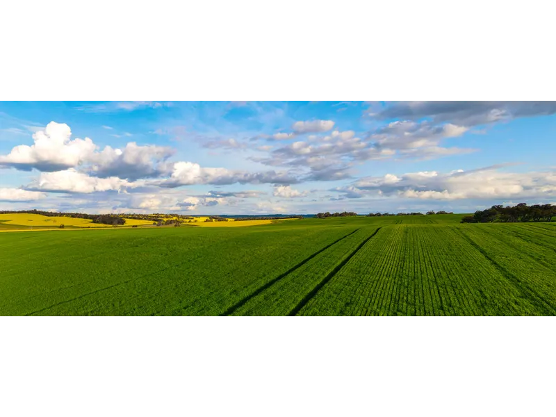 Institutional Scale, High-Performance Mixed Farming Opportunity