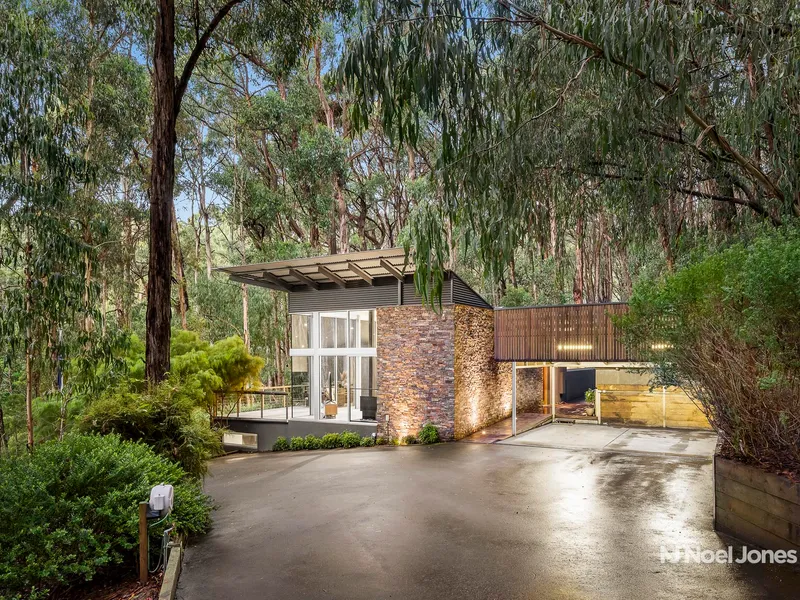 Architectural Brilliance Amongst The Treetops