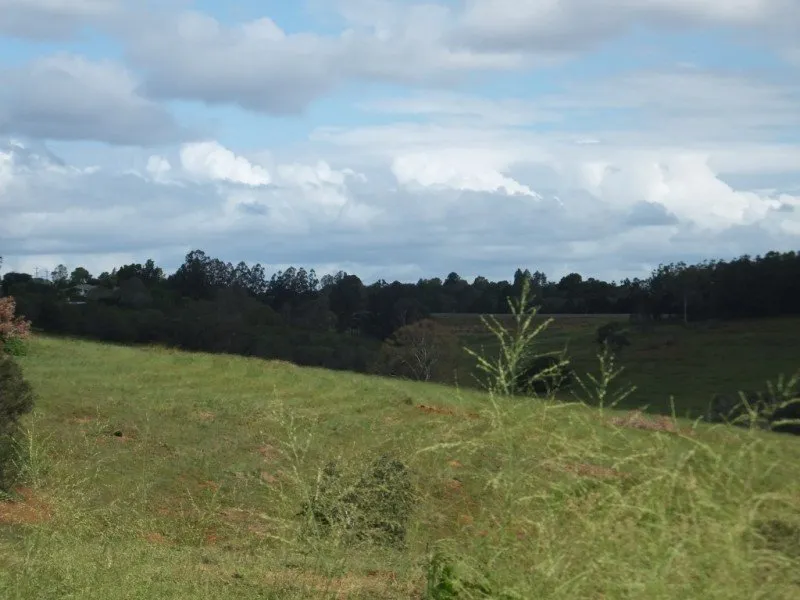 HIGH ON A HILL AND SITTING PRETTY
