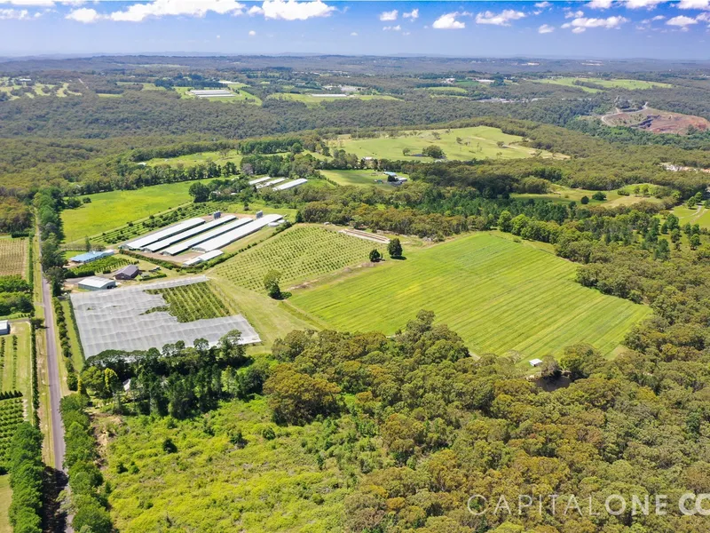 Fruit farm nestled in the mountains