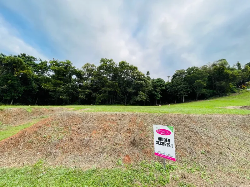 Elevated with Ocean Views !