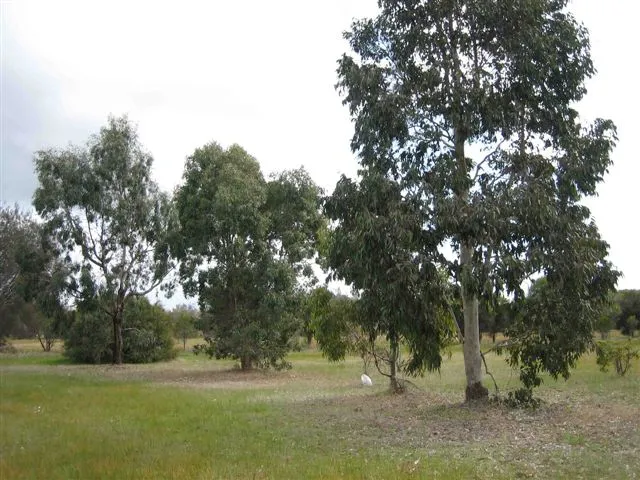 **PRICE REDUCED**Luscious Land!
