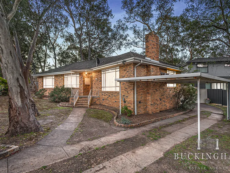 Renovate or Speculate - you decide!