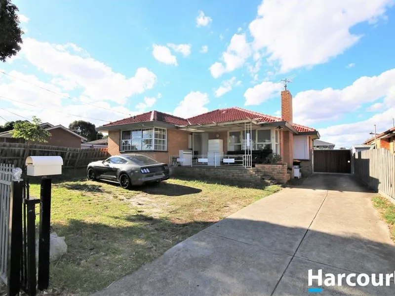 The golden land in Springvale!