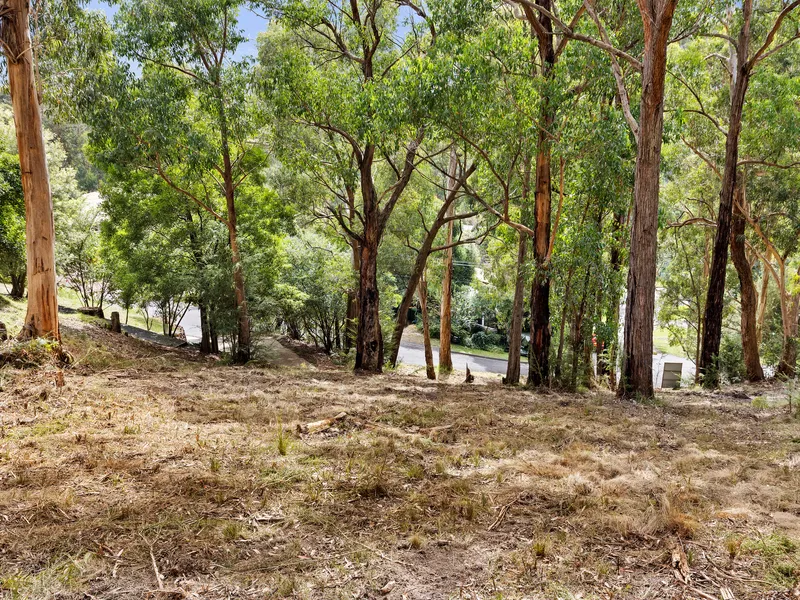 Rare land with planning permit