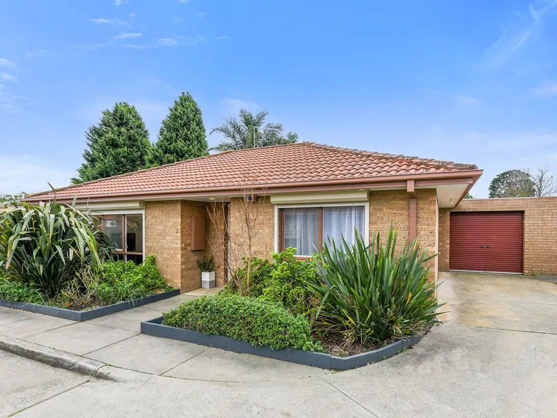 THE BRIEF: Fresh and Fabulous