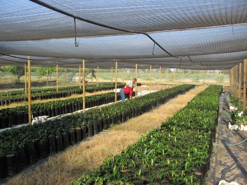 Perfect for multi family or group, the Achacha is a unique project with certified organic/biodynamic plantation ripe and ready