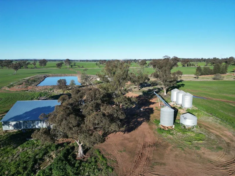 Cropping Property For Sale In Tightly Held District