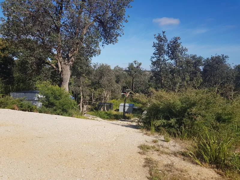 Views Out Over Lake Reeve To The Ranges!