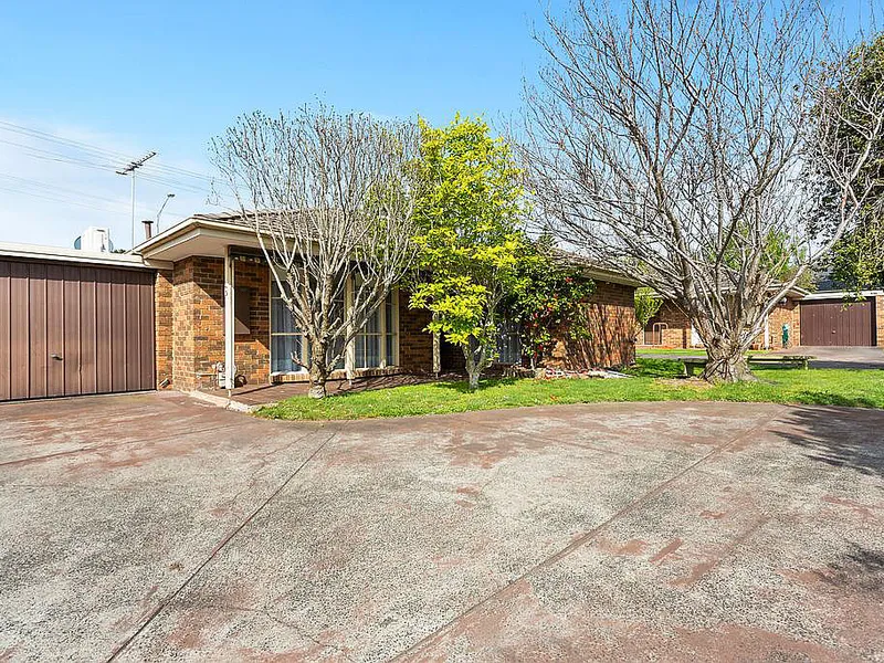 Everything you need and more!