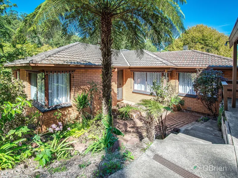 Peaceful, Retro Family Home