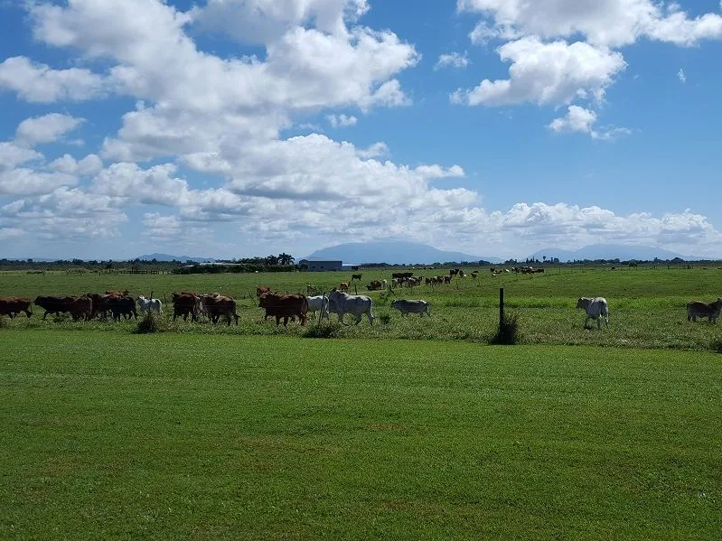 A must See | 168 Acres For Sale