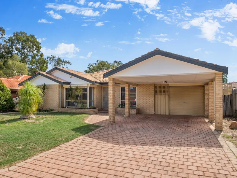 Ripper Of An Investment