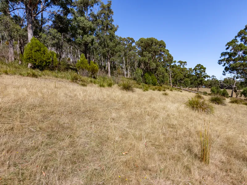 60 Acres so Close to Town