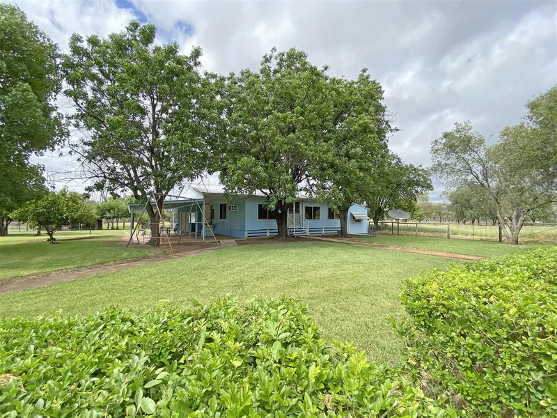 RUN, don't walk, or you will miss it!