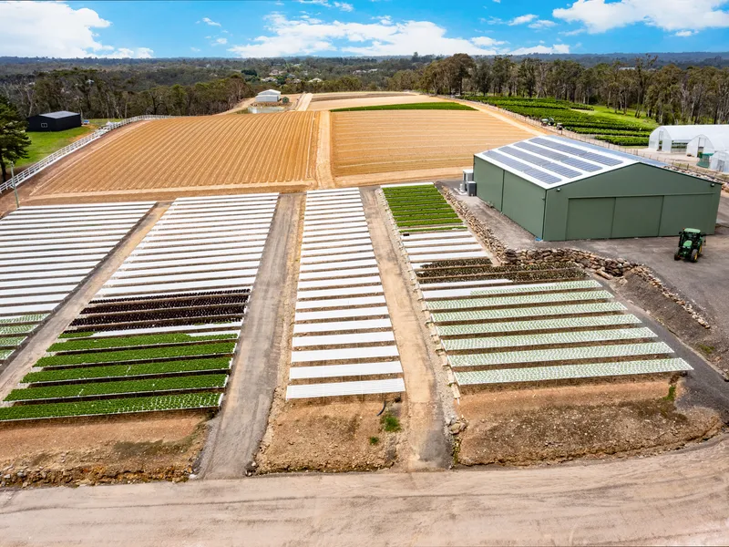 25 Pristine Arable Acres