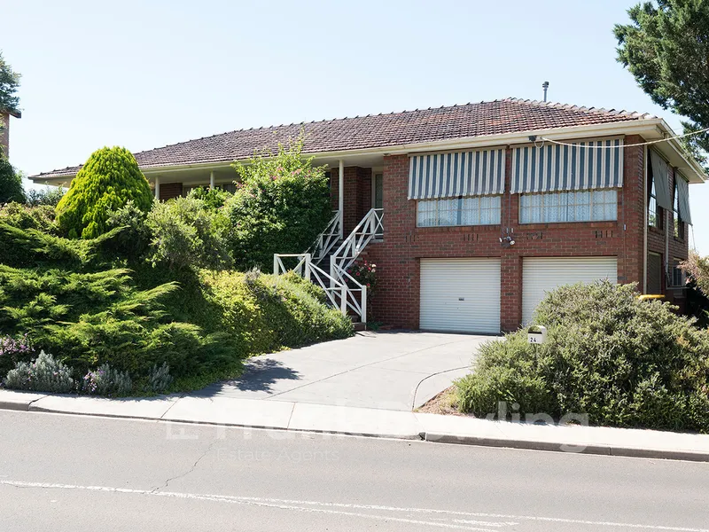 Potential-Packed Classic by Valley Lake