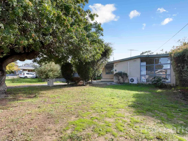 You'll Want to Live Here