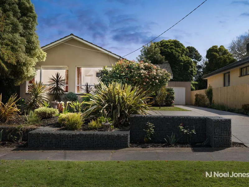 The One You’ve Been Waiting For!