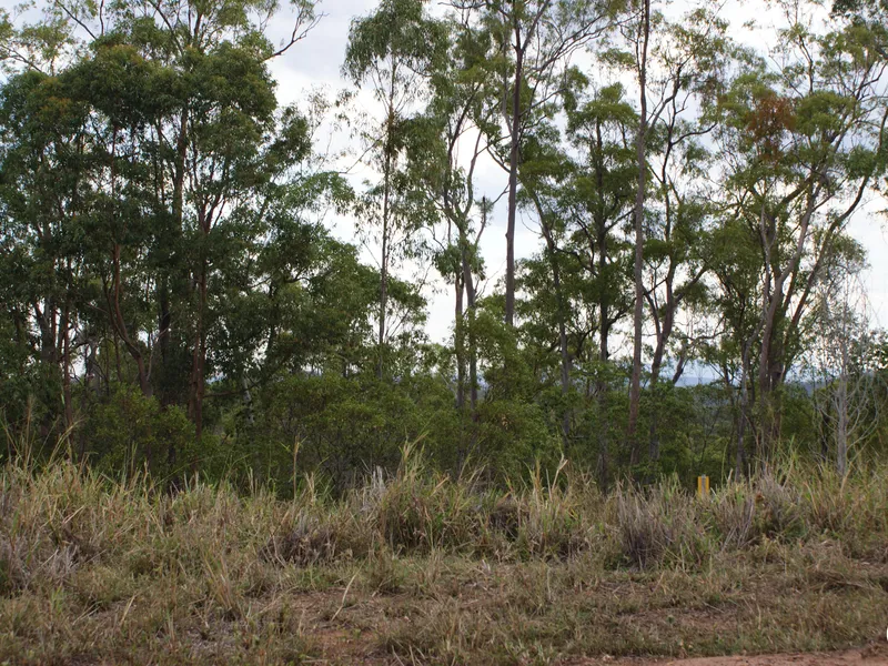 OPPORTUNITY AWAITS - ACREAGE LIFESTYLE.