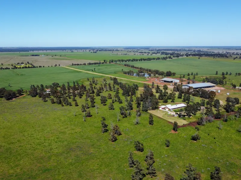 An ideally located, versatile mixed farm with extensive improvements in the renowned Riverina Region – with Murrumbidgee River access