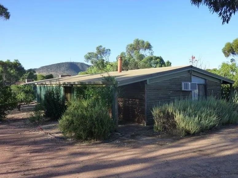 Great For the Family