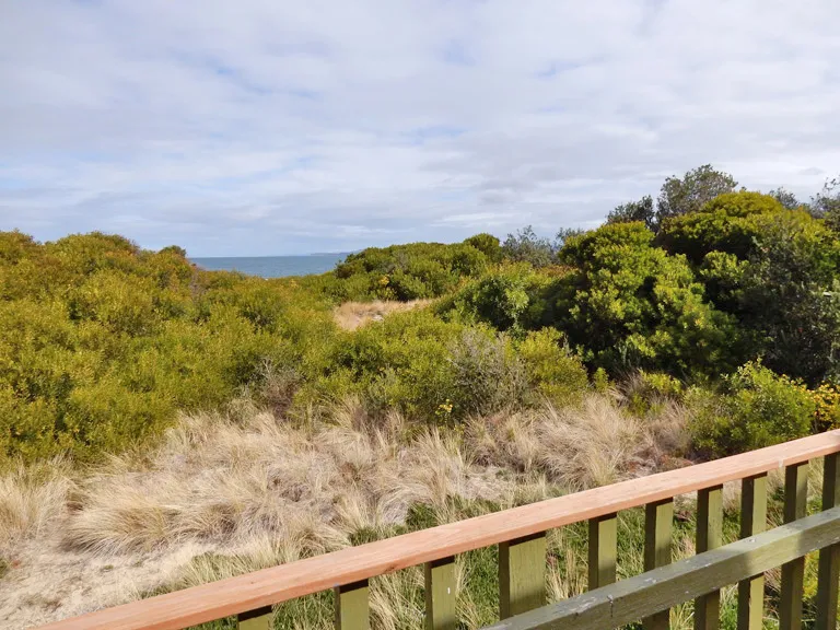 Near the Dunes - Dodges Ferry