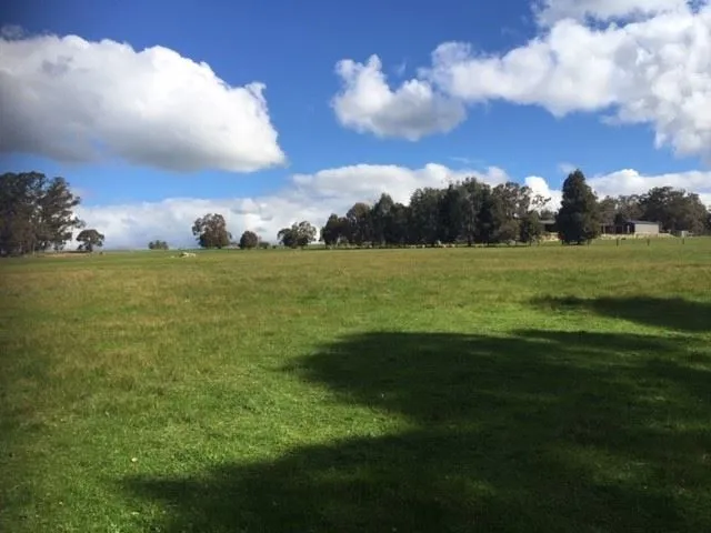 Picturesque 8 Acres with Winter Creek