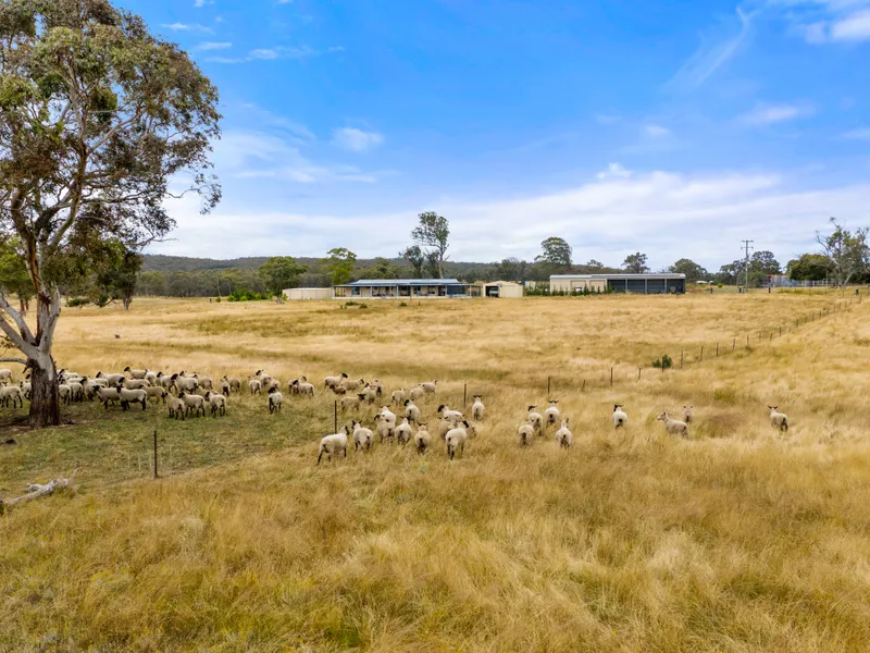 Large Home on Good Grazing Land