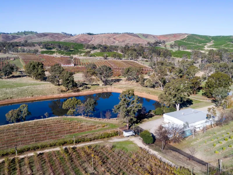 Under Contract | Kersbrook Cherry Farm - Outstanding Adelaide Hills Horticulture Opportunity