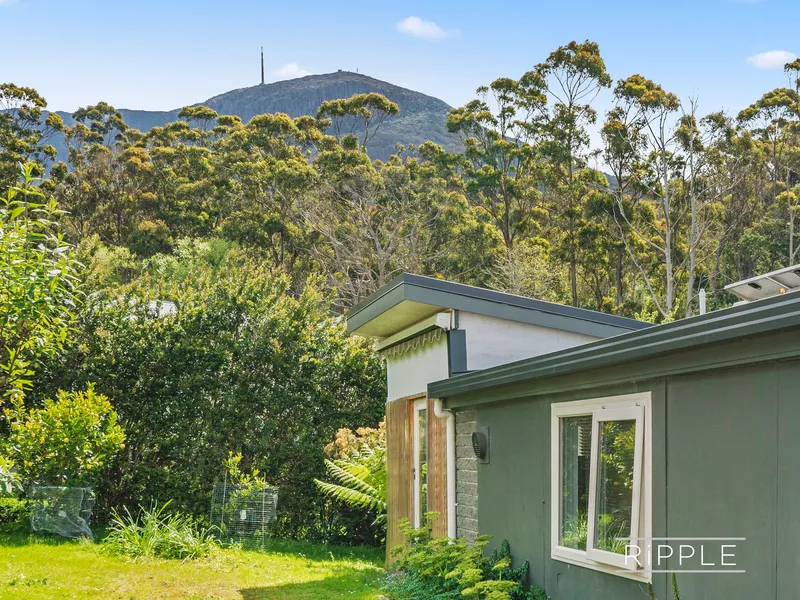 Superb South Hobart along the rivulet