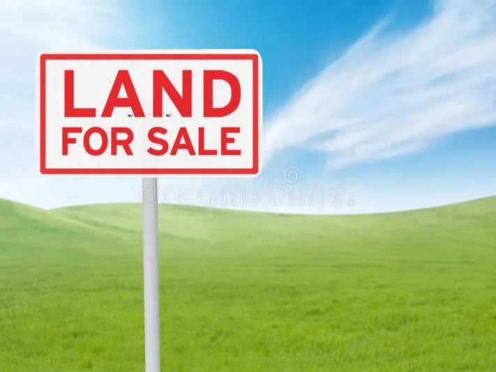 North East facing land for sale